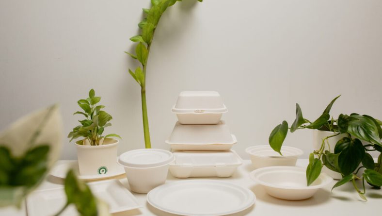 Esti in cautare de ambalaje biodegradabile? Vezi gama de produse de la furnizorul Snick Ambalaje